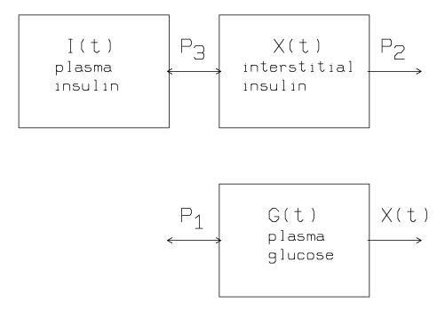 Minimal Models For Glucose And Insulin